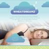 Bean Products Japanese Bed Pillow for Sleeping  Organic Millet Fill with Organic Cotton Fabric, Soft Head Pillow  Eco-Friendly, Breathable, and Durable Sleep Aid - Made in The USA, 14" x 20" view 2