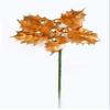 Worth Imports Gold Pick W/Holly & Berry, Set of 12, 12 Piece view 1