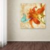 Trademark Fine Art Satsuma Day Lily I by Tina Lavoie, 18x18-Inch view 3