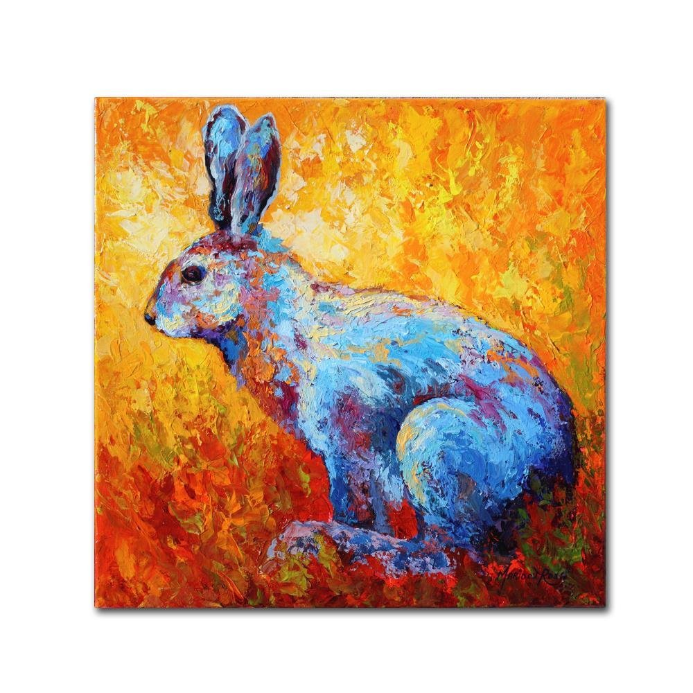 Trademark Fine Art Bunnie (krabbit) by Marion Rose, 18x18-Inch-Inch