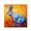 Trademark Fine Art Bunnie (krabbit) by Marion Rose, 18x18-Inch-Inch view 1