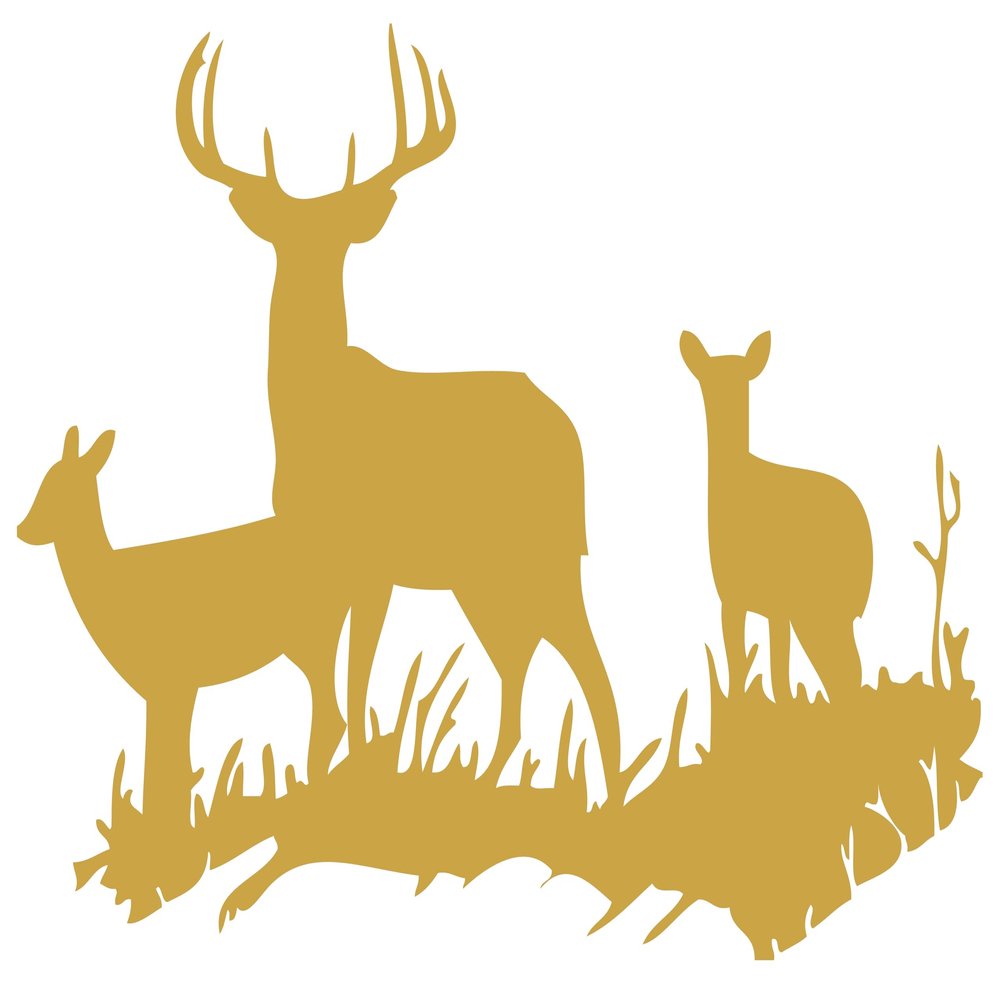Gold 22'' X 31'' Buck Deer DOE Hunting Vinyl Wall Decals Quotes Sayings Words Art Decor Lettering Vinyl Wall Art Inspirational Uplifting