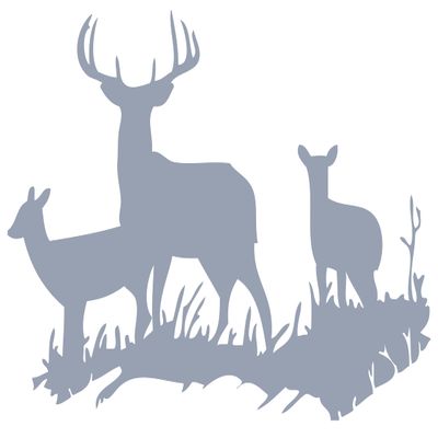 Silver 22'' X 31'' Buck Deer DOE Hunting Vinyl Wall Decals Quotes Sayings Words Art Decor Lettering Vinyl Wall Art Inspirational Uplifting