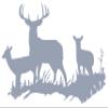 Silver 22'' X 31'' Buck Deer DOE Hunting Vinyl Wall Decals Quotes Sayings Words Art Decor Lettering Vinyl Wall Art Inspirational Uplifting view 1