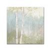 Trademark Fine Art WAP01138-C1818GG Canvas Art view 1