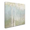 Trademark Fine Art WAP01138-C1818GG Canvas Art view 2