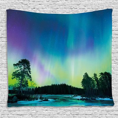 Ambesonne Aurora Borealis Tapestry, Sky over Lake Surrounded Forest Woods Hemisphere Print, Wide Wall Hanging for Bedroom Living Room Dorm, 80" X 60", Violet Blue Lime Green