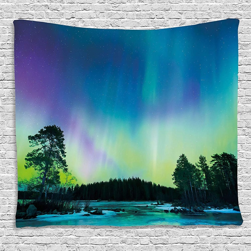 Ambesonne Aurora Borealis Tapestry, Sky over Lake Surrounded Forest Woods Hemisphere Print, Wide Wall Hanging for Bedroom Living Room Dorm, 80" X 60", Violet Blue Lime Green