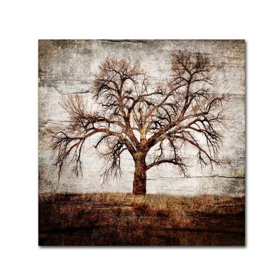 Trademark Fine Art Cottonwood Tree Part 01 by LightBoxJournal, 18x18-Inch-Inch