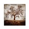 Trademark Fine Art Cottonwood Tree Part 01 by LightBoxJournal, 18x18-Inch-Inch view 1