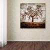 Trademark Fine Art Cottonwood Tree Part 01 by LightBoxJournal, 18x18-Inch-Inch view 2