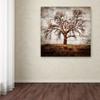 Trademark Fine Art Cottonwood Tree Part 01 by LightBoxJournal, 18x18-Inch-Inch view 3
