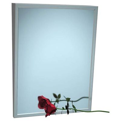 ASI Fixed Angle Tilt Mirror, 18"Wx24"H
