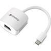 Sandberg USB-C to DisplayPort Link (Amazon.co.jp Exclusive) view 1