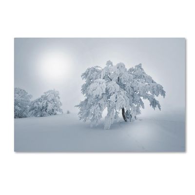 Trademark Fine Art A Cold Winter Morning by Philippe Sainte-Laudy, 16x24-Inch