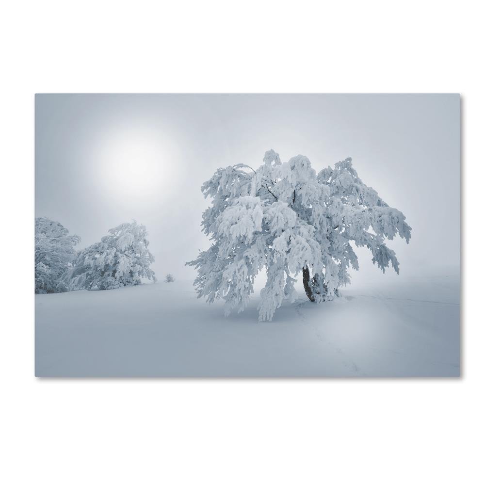 Trademark Fine Art A Cold Winter Morning by Philippe Sainte-Laudy, 16x24-Inch