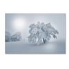 Trademark Fine Art A Cold Winter Morning by Philippe Sainte-Laudy, 16x24-Inch view 1