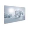 Trademark Fine Art A Cold Winter Morning by Philippe Sainte-Laudy, 16x24-Inch view 2