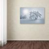 Trademark Fine Art A Cold Winter Morning by Philippe Sainte-Laudy, 16x24-Inch view 3