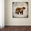 Trademark Fine Art Moose Lodge 2 - Black Bear by LightBoxJournal, 18x18-Inch-Inch view 2