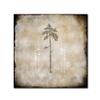 Trademark Fine Art Moose Lodge 2 - Lodge Pole by LightBoxJournal, 18x18-Inch-Inch view 1