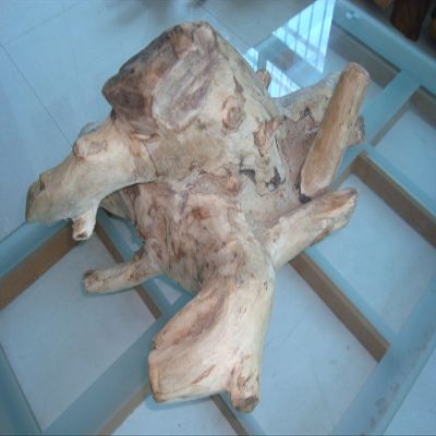 5Kg Rare Natura white Agarwood Aloeswood eaglewood wood sculpture Art For Luck