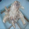 5Kg Rare Natura white Agarwood Aloeswood eaglewood wood sculpture Art For Luck view 4