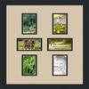 ArtToFrames Collage Photo Frame Double Mat with 6-3x5 Openings and Satin Black Frame view 1