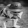 BEL Marine Corps Mascot Looks Like the Average Drill Instructor (12x18 Canvas Print) view 1