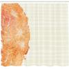 Ambesonne Flower Shower Curtain, Tropical Exotic Hawaiian Island Floral in Side Frame with Abstract Stiped Backdrop, Cloth Fabric Bathroom Decor Set with Hooks, 69" W x 75" L, Vermilion view 2