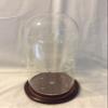 Anbcollectibles Collectible Spoon Dome w/14 Spoon Insert (No Spoons) Walnut view 1