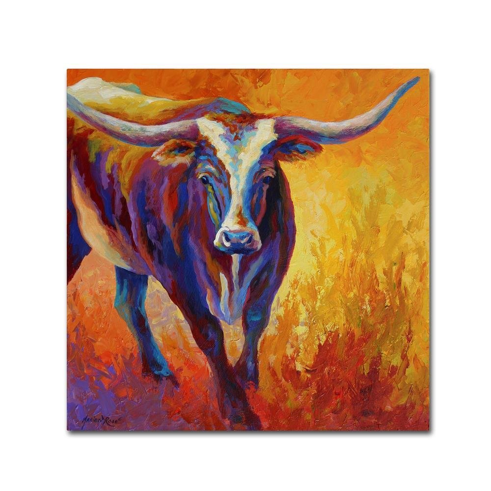 Stepping Out Longhorn by Marion Rose, 14x14-Inch Canvas Wall Art