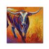 Stepping Out Longhorn by Marion Rose, 14x14-Inch Canvas Wall Art view 1