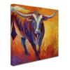Stepping Out Longhorn by Marion Rose, 14x14-Inch Canvas Wall Art view 2