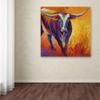 Stepping Out Longhorn by Marion Rose, 14x14-Inch Canvas Wall Art view 3