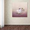 Trademark Fine Art ALI14235-C1414GG Canvas Art view 3