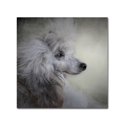 Trademark Fine Art ALI13887-C1414GG Canvas Art