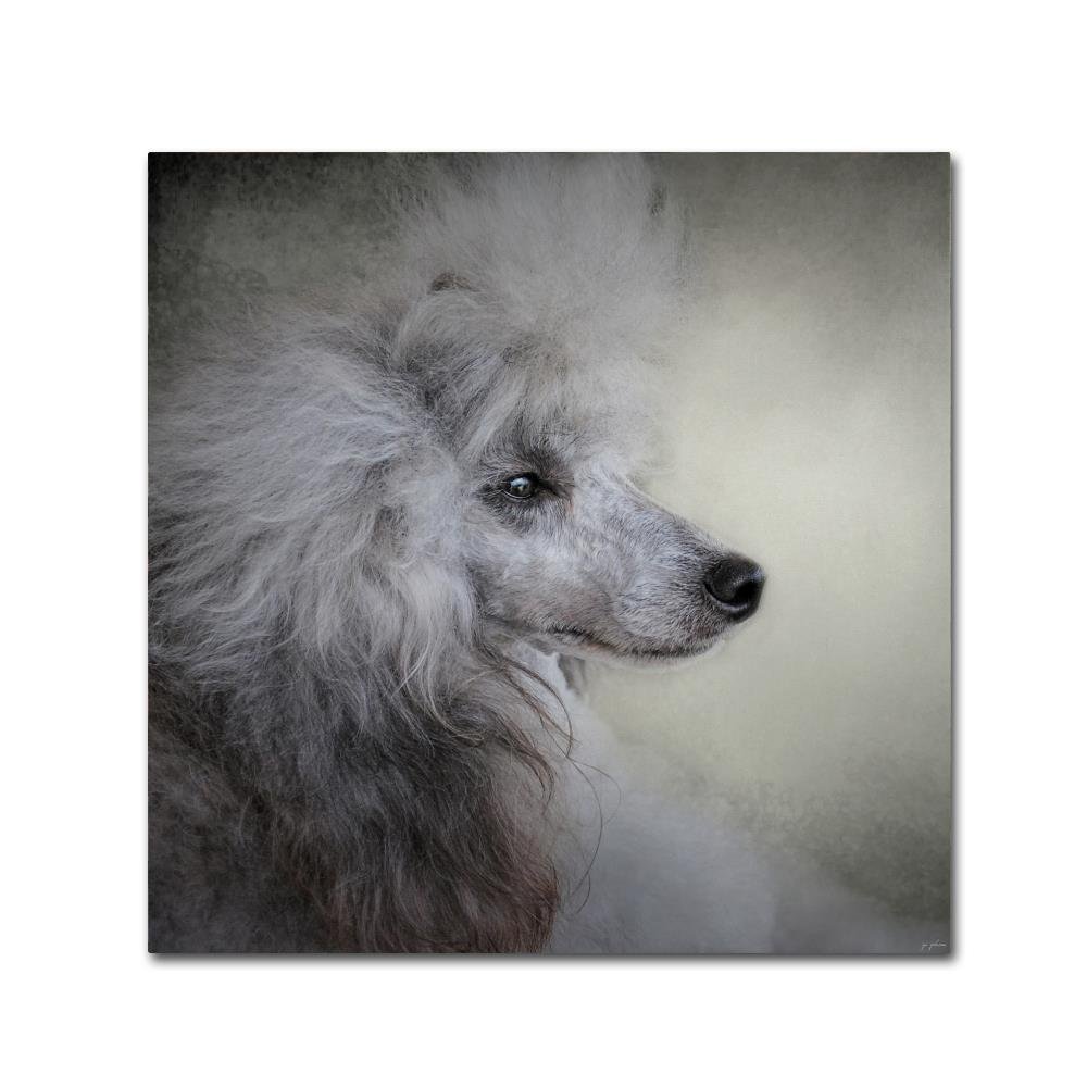 Trademark Fine Art ALI13887-C1414GG Canvas Art
