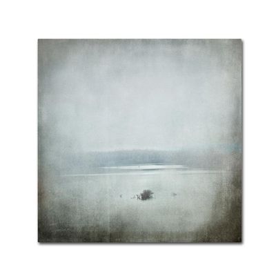 Trademark Fine Art ALI14065-C1414GG Canvas Art