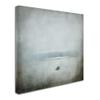 Trademark Fine Art ALI14065-C1414GG Canvas Art view 2