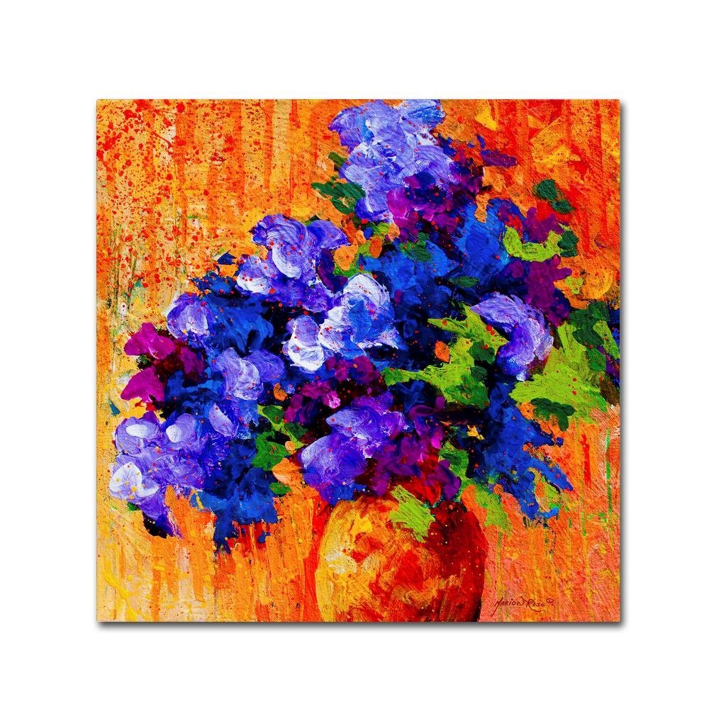 Abbouquet by Marion Rose, 14x14-Inch Canvas Wall Art