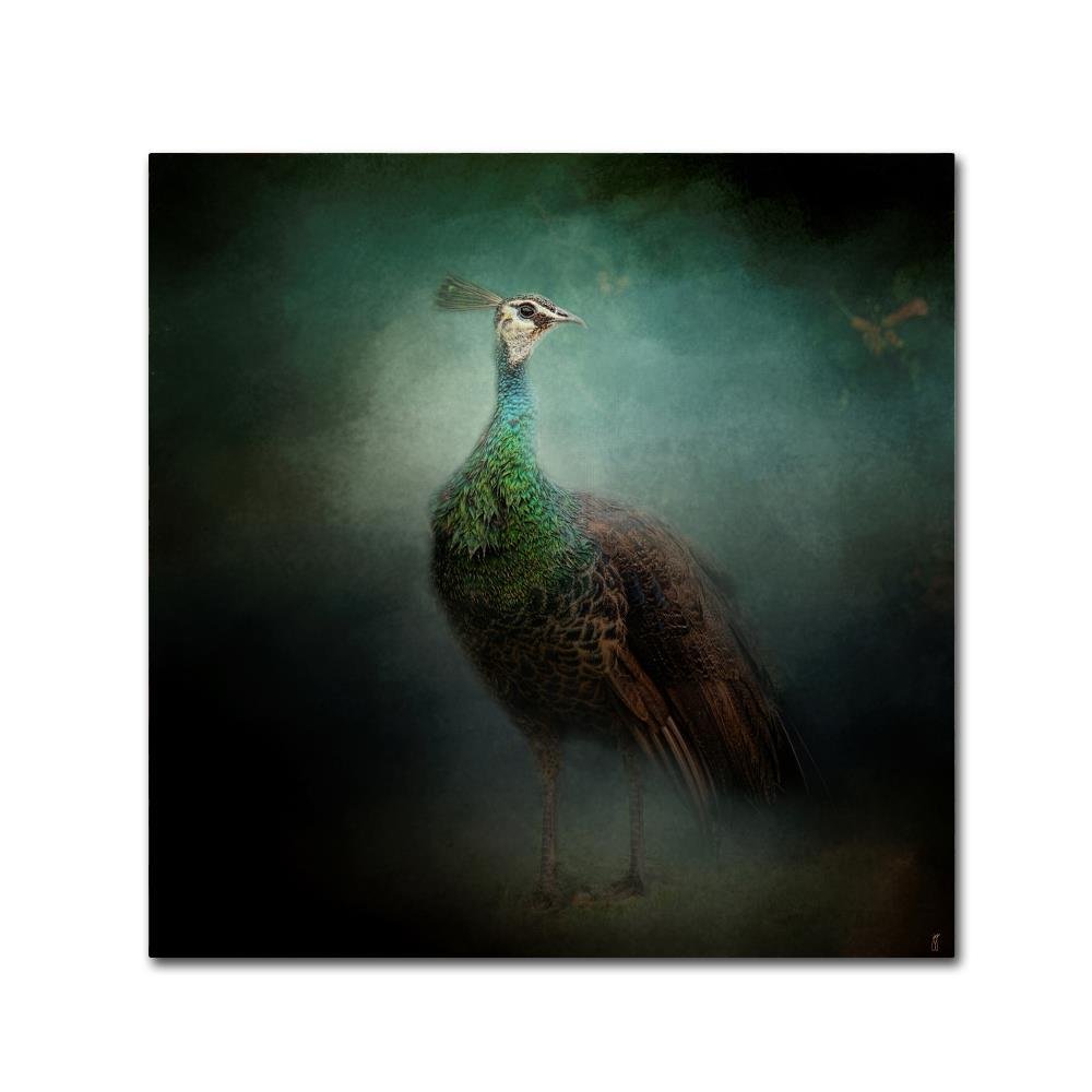 Peacock 2 by Jai Johnson, 14x14-Inch Canvas Wall Art