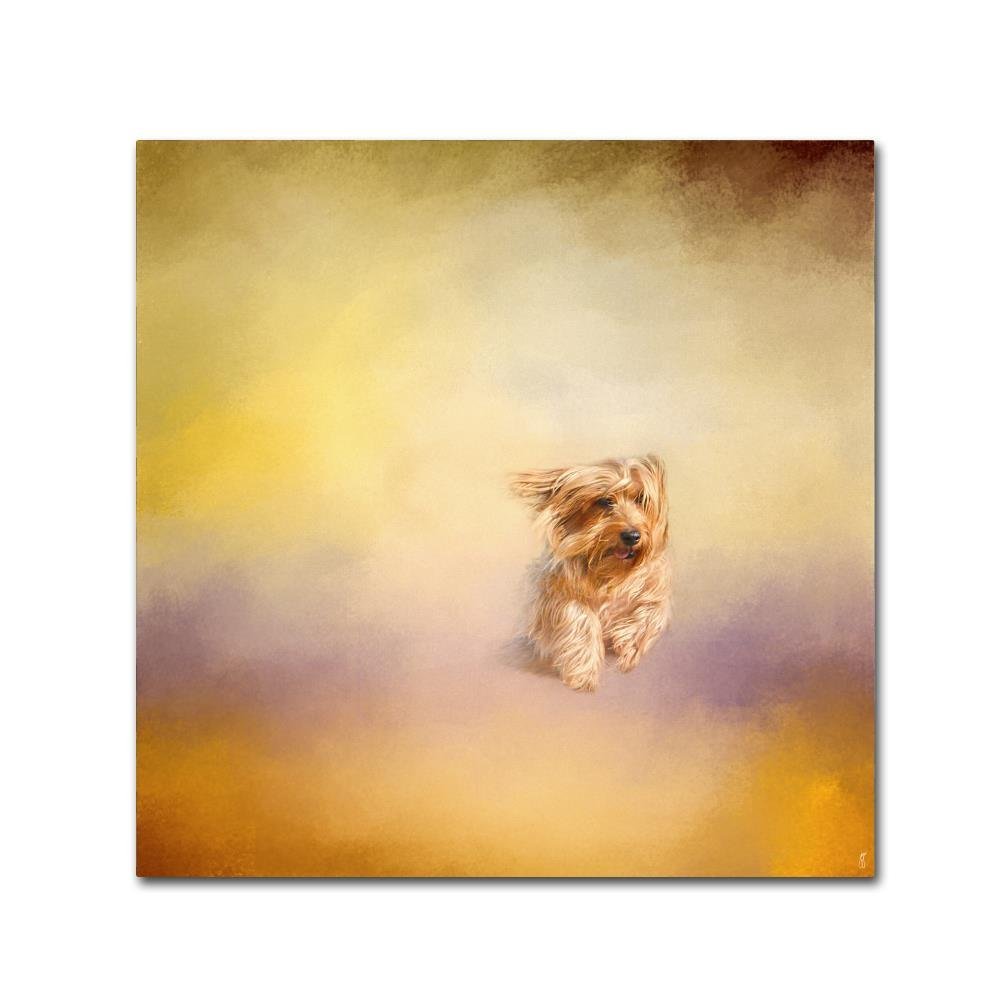 Trademark Fine Art Yorkie Running Into The Wind by Jai Johnson, 14x14-Inch