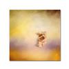 Trademark Fine Art Yorkie Running Into The Wind by Jai Johnson, 14x14-Inch view 1