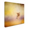Trademark Fine Art Yorkie Running Into The Wind by Jai Johnson, 14x14-Inch view 2