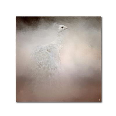 Peacock 6 by Jai Johnson, 14x14-Inch Canvas Wall Art