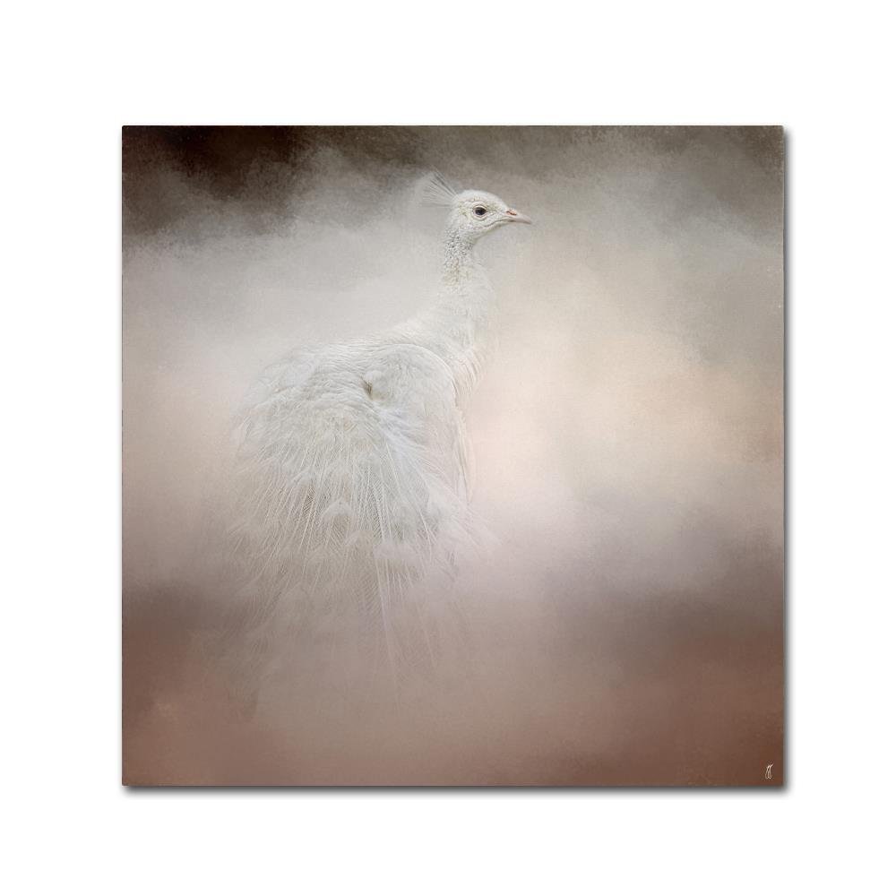 Peacock 6 by Jai Johnson, 14x14-Inch Canvas Wall Art