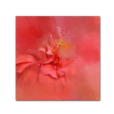 Trademark Fine Art ALI14107-C1414GG Canvas Art