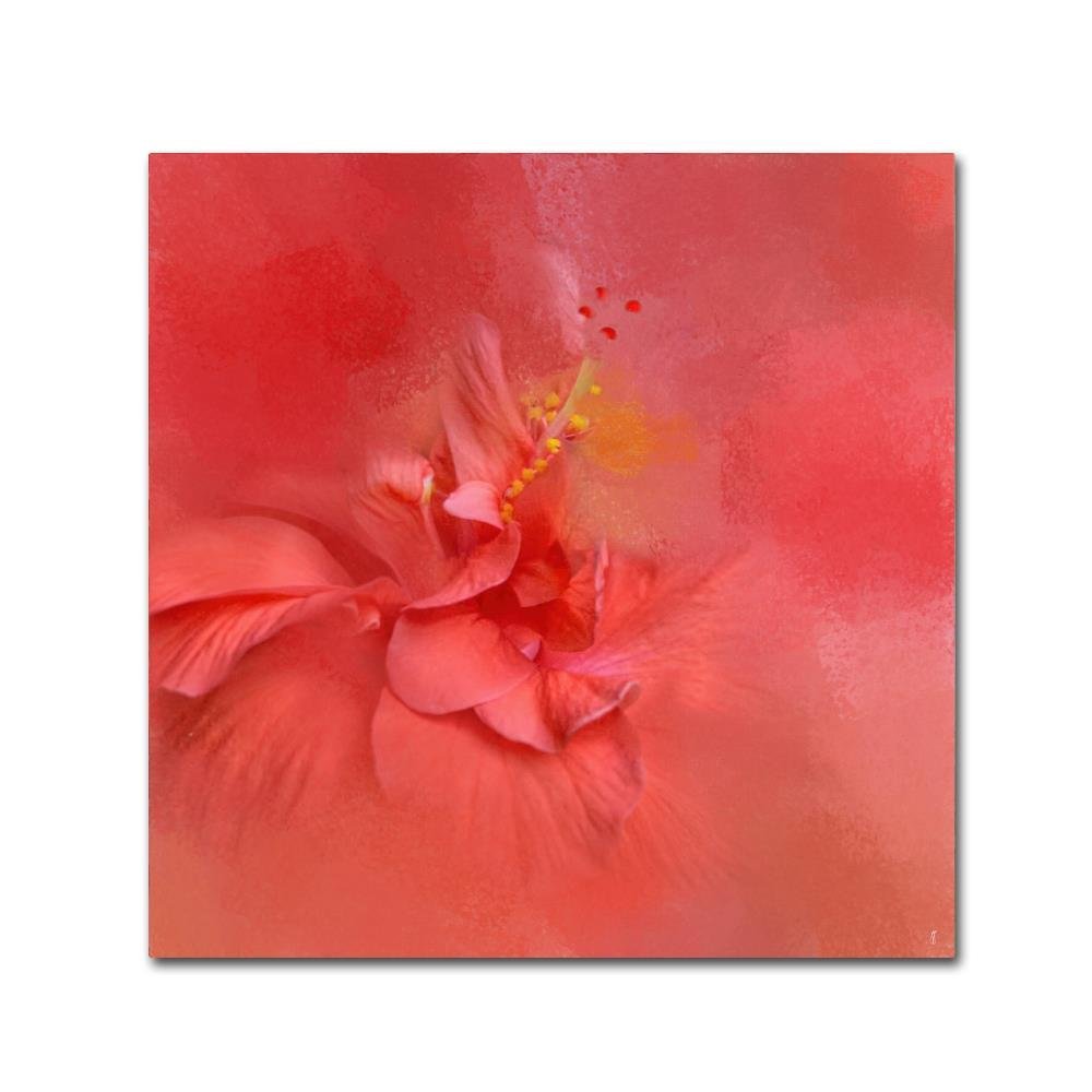 Trademark Fine Art ALI14107-C1414GG Canvas Art