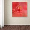 Trademark Fine Art ALI14107-C1414GG Canvas Art view 3